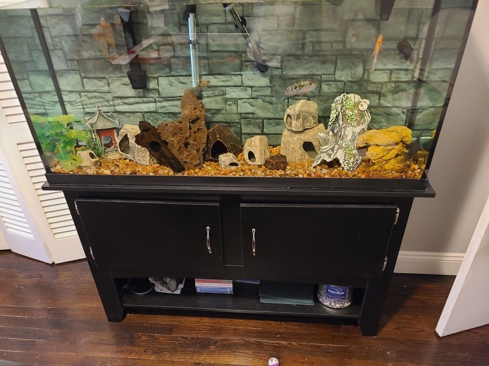 65 gallon Tank, stand and lights