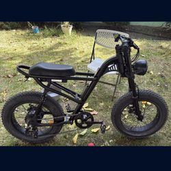 1,500 Peak Wat E Bike 