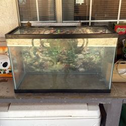 Fish Tank