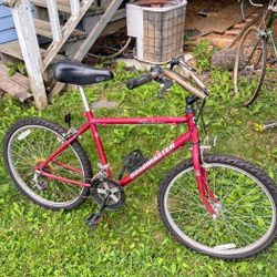 ​Vintage Roadmaster "Neutron Sport" Mountain Bike - Classic Steel Frame