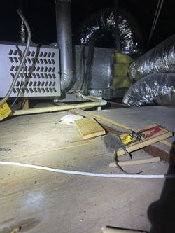 Rodent Proofing Equip