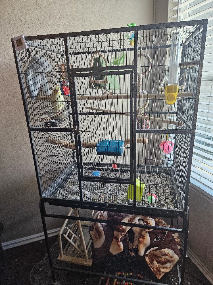 Bird Cage