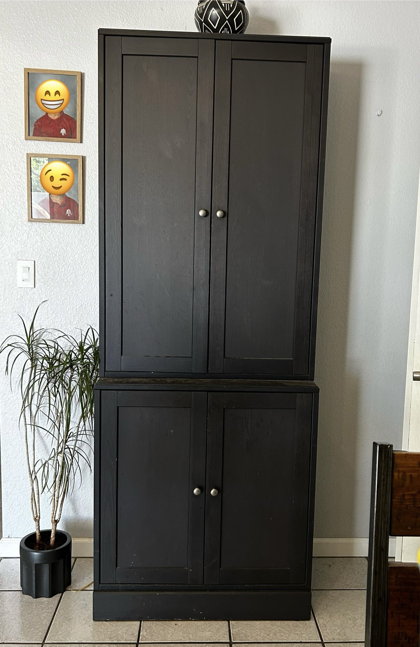 Cabinet/Armoire/Pantry