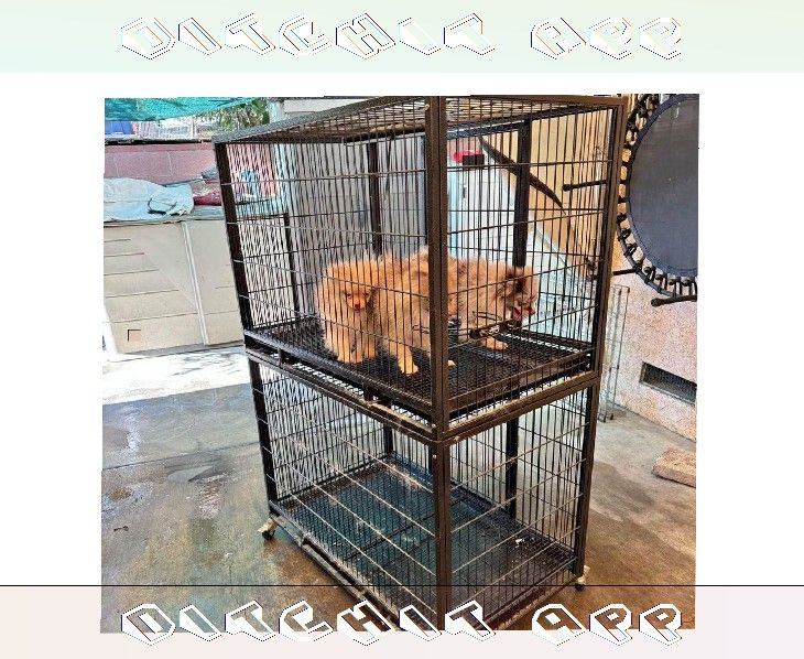 Pet Cages in Various Sizes to Match Every Animal high center