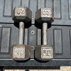 20 Pound Hex Dumbbells Pair