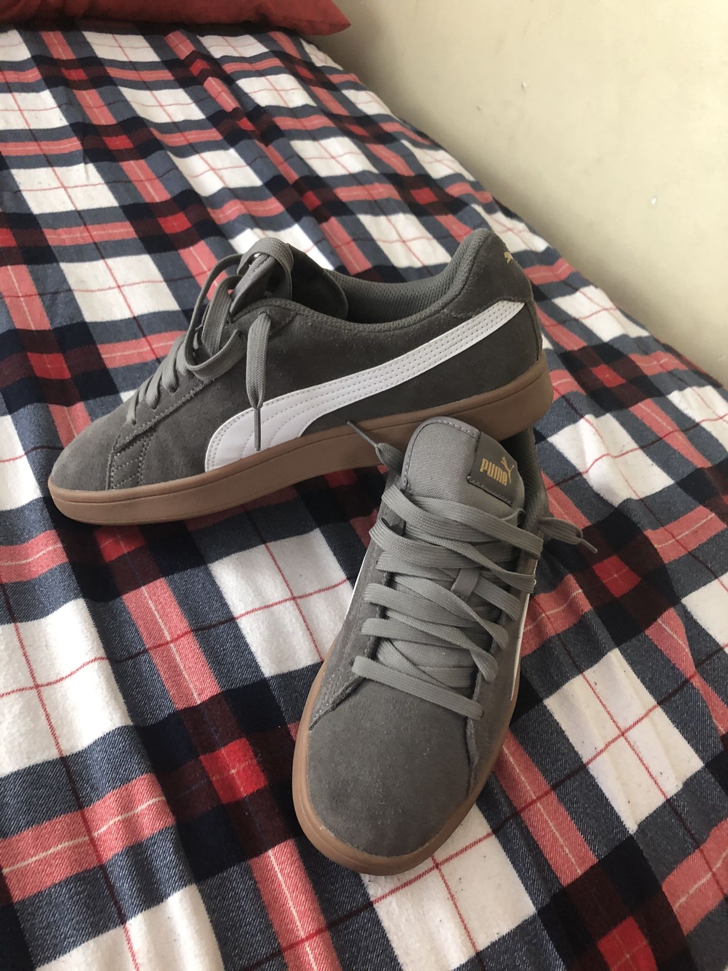 Pumas 🐆