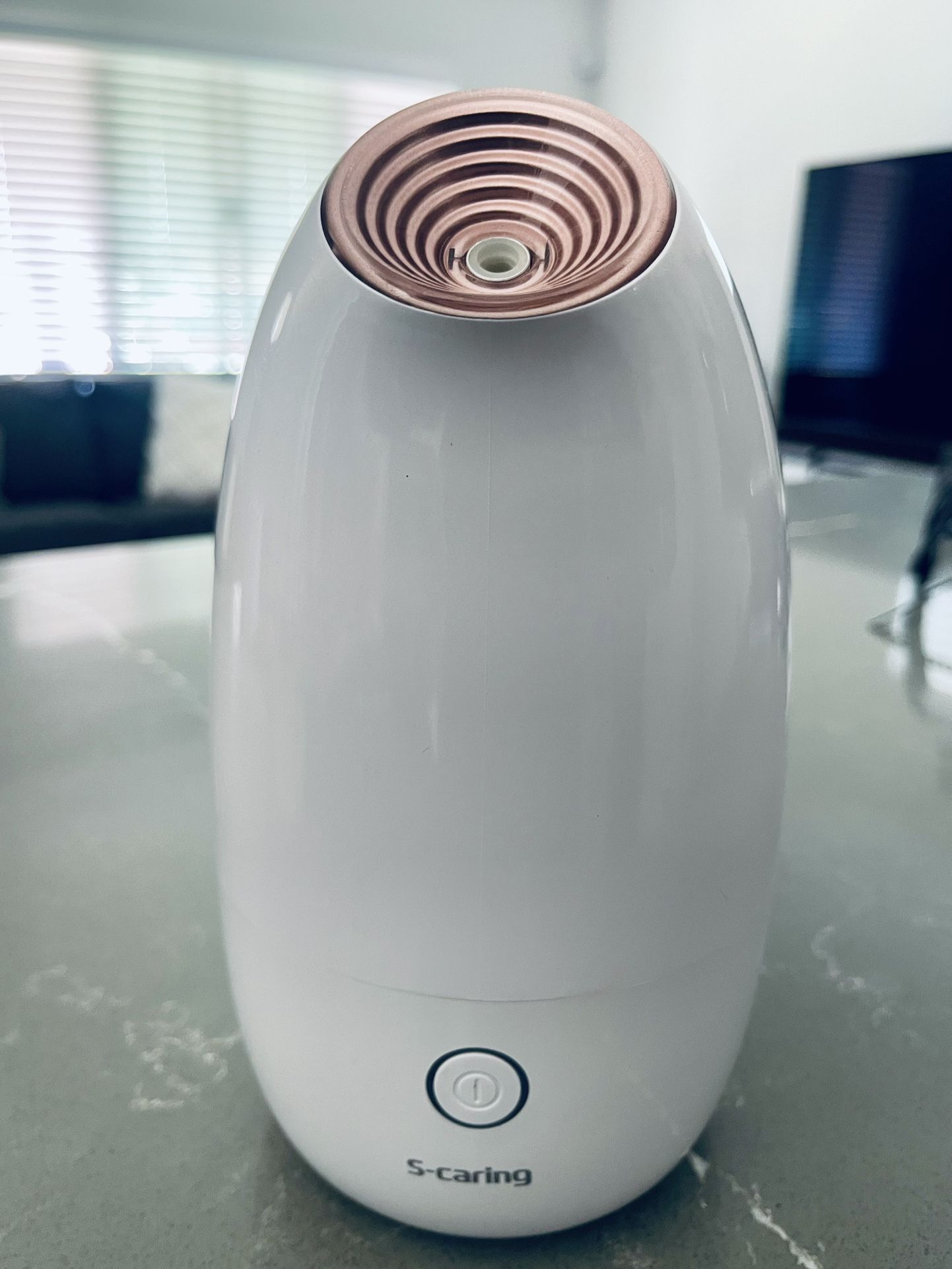 Facial Steamer