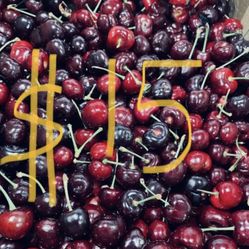 fresh pick bing cherries
