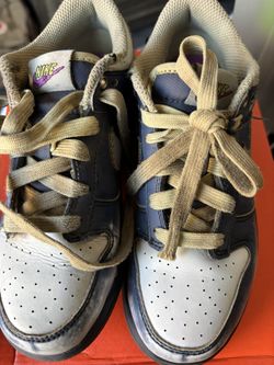 Nike Dunk Kids