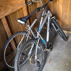 Giant Cypress/Schwinn