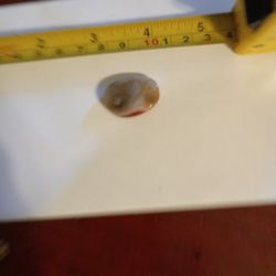 1in X ¾in Twisted Oval Agate W/Gobi Eye