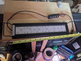 Aquarium Light