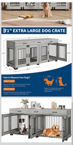 Dog Kennel