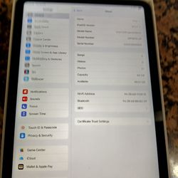 Ipad 10th Generation 