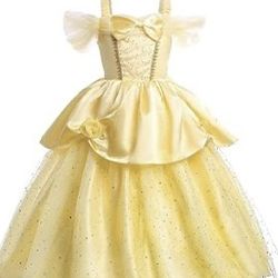 Beauty and the Beast costume