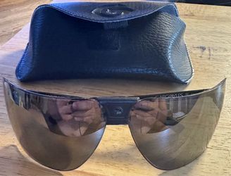 Gargoyle Sunglasses