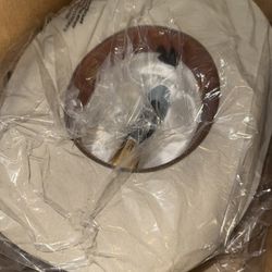 Stetson Silverbelly 6x