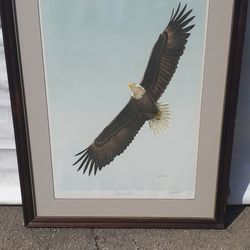 Vintage Large American Eagle Print