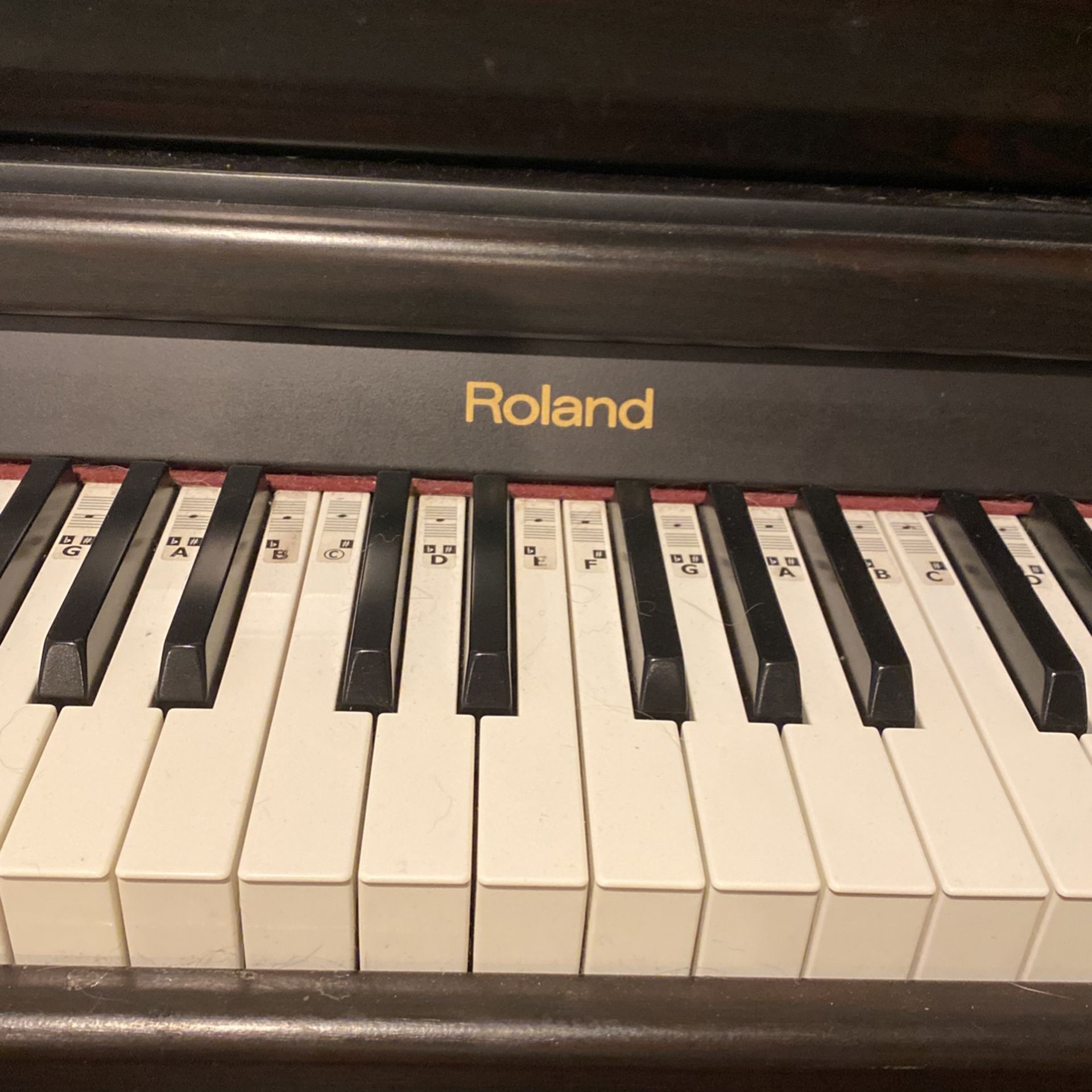 Roland Electric Piano 