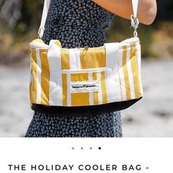 Insulated Lunch/Drink Tote