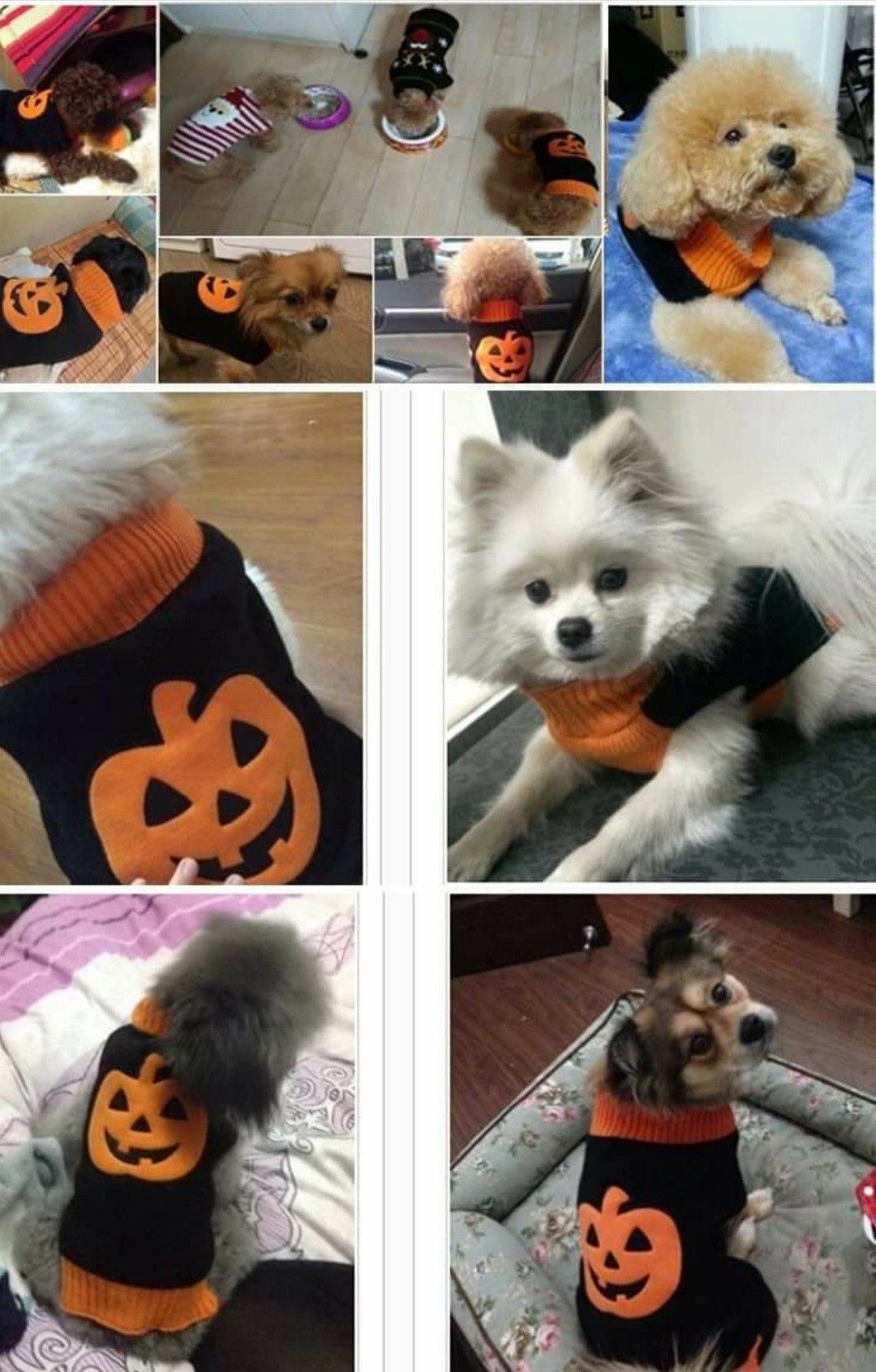 Halloween Pumpkin Pet Sweater Brand New
