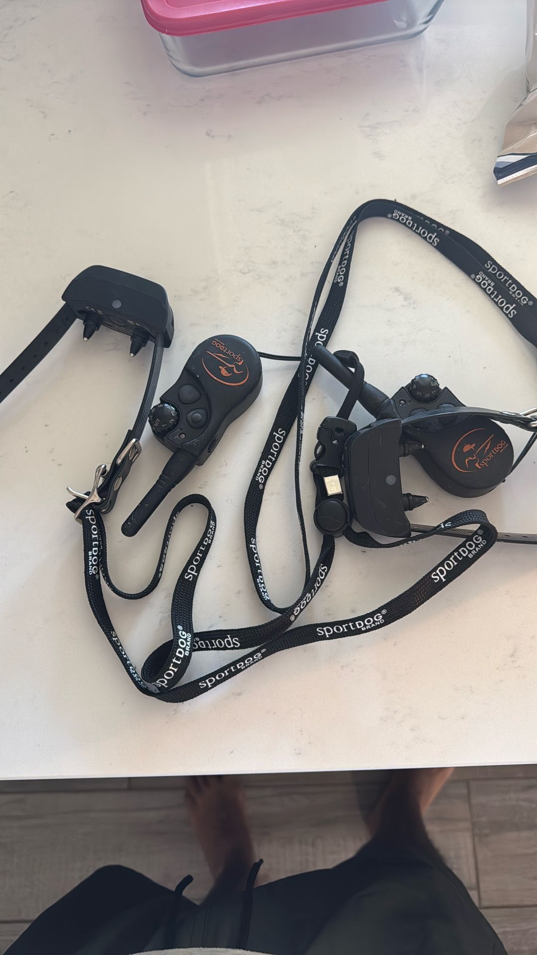 SportdDog Yard Trainer 100 Dog Collar