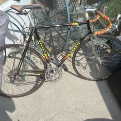 Casati Bike 