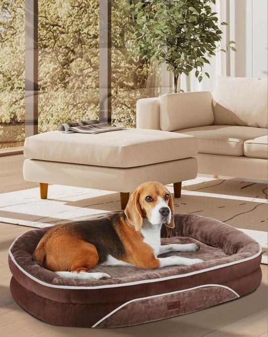 Orthopedic Dog Bed