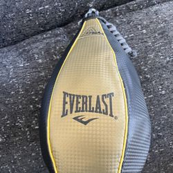 Everlast Speed Bag