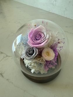 Preserved Flower Glass Dome Arrangement