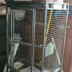 Bird Cage