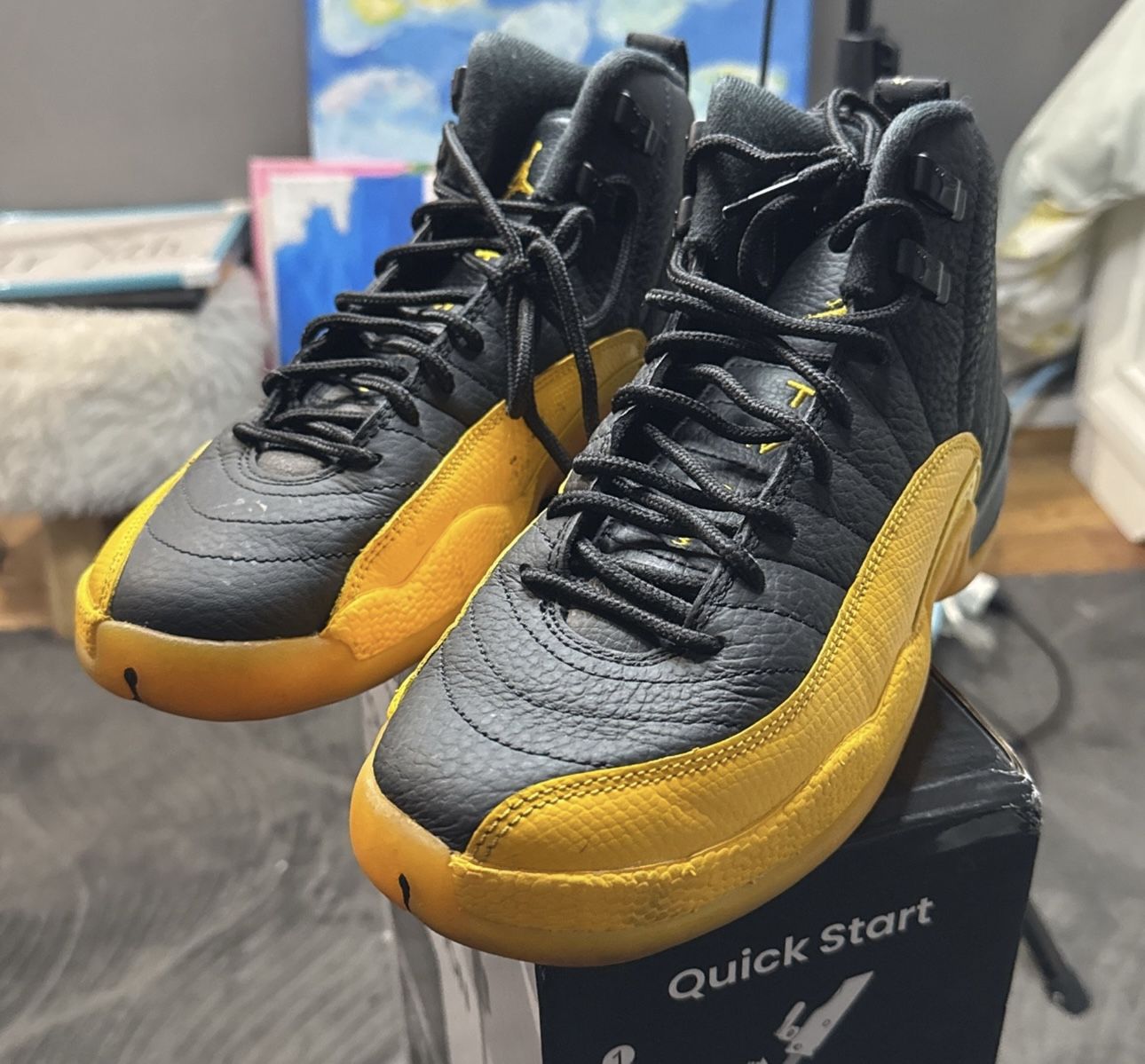Air Jordan Retro 12s