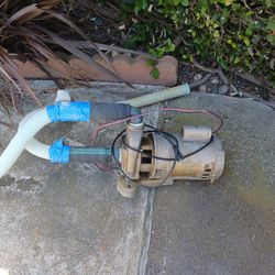 Water Punp For Pool