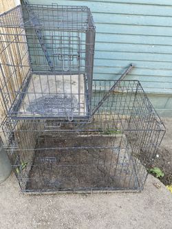 Kennels For Sale