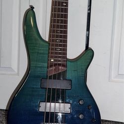 Bajo ibanez cinco cuerdas