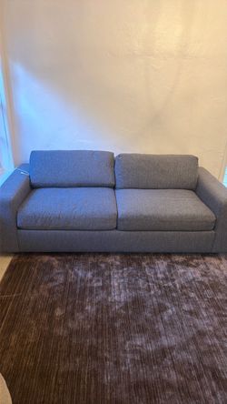 West Elm Pull Out Couch/sleep sofa