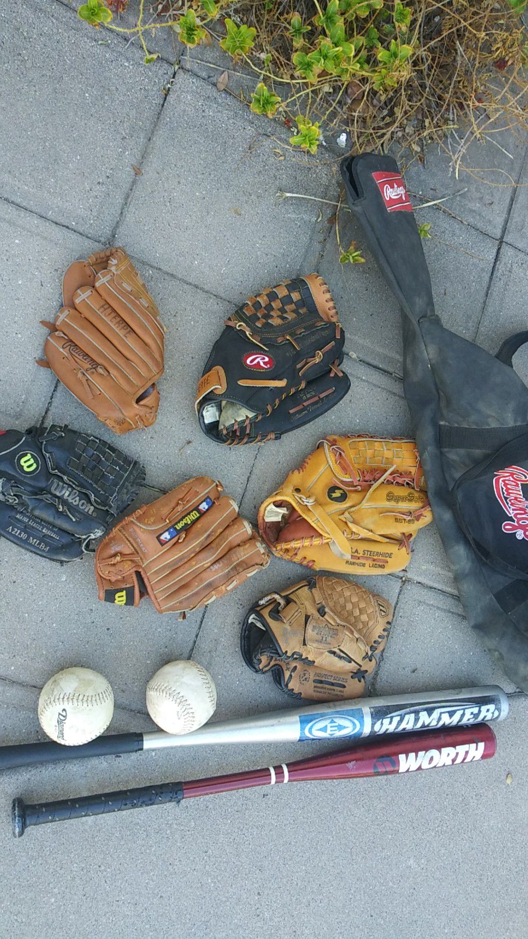 4 Kid's Gloves and 1 adult glove, 2 Bats,2 softballs and 1 Rawlings bag. $25 for all of it.
