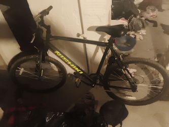 Nishiki mountain bike