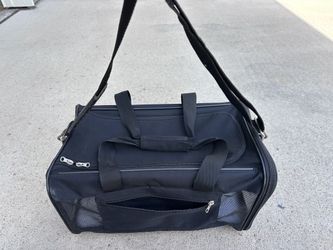 Pet Travel Carrier