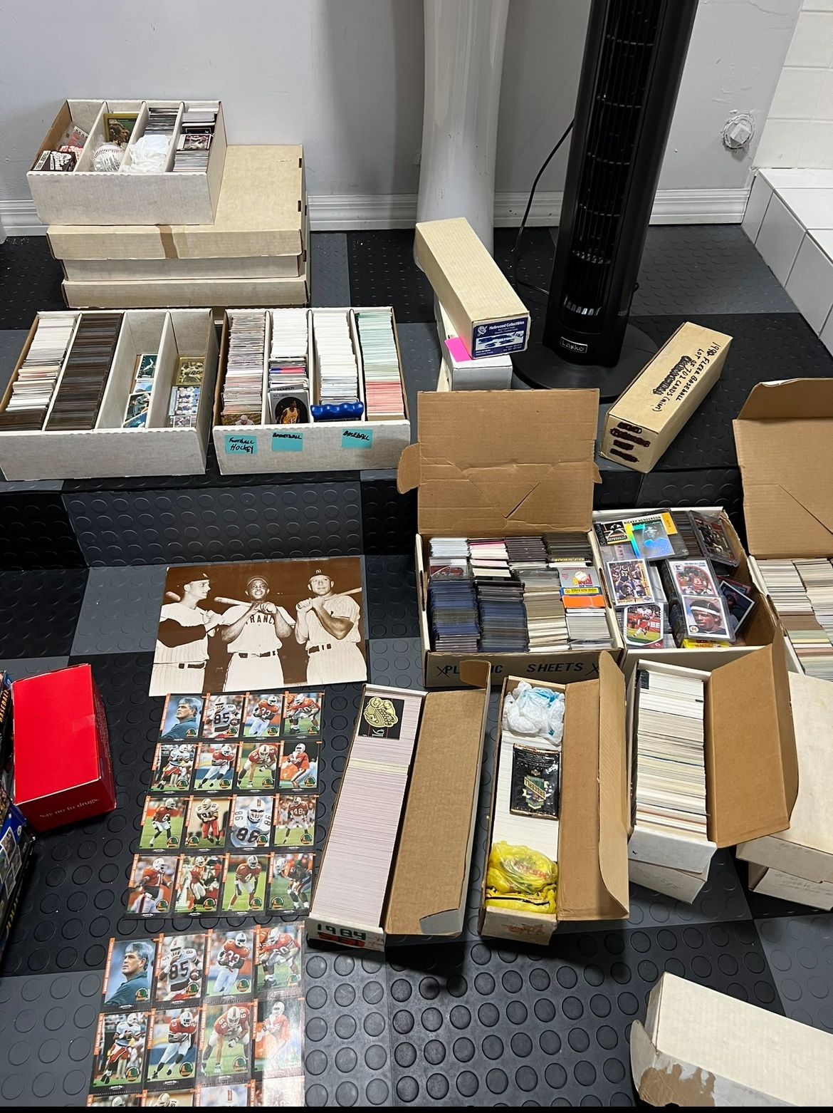 Sports Memorabilia Collection