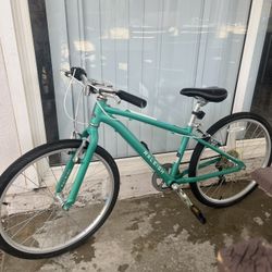 Green Raleigh Bike