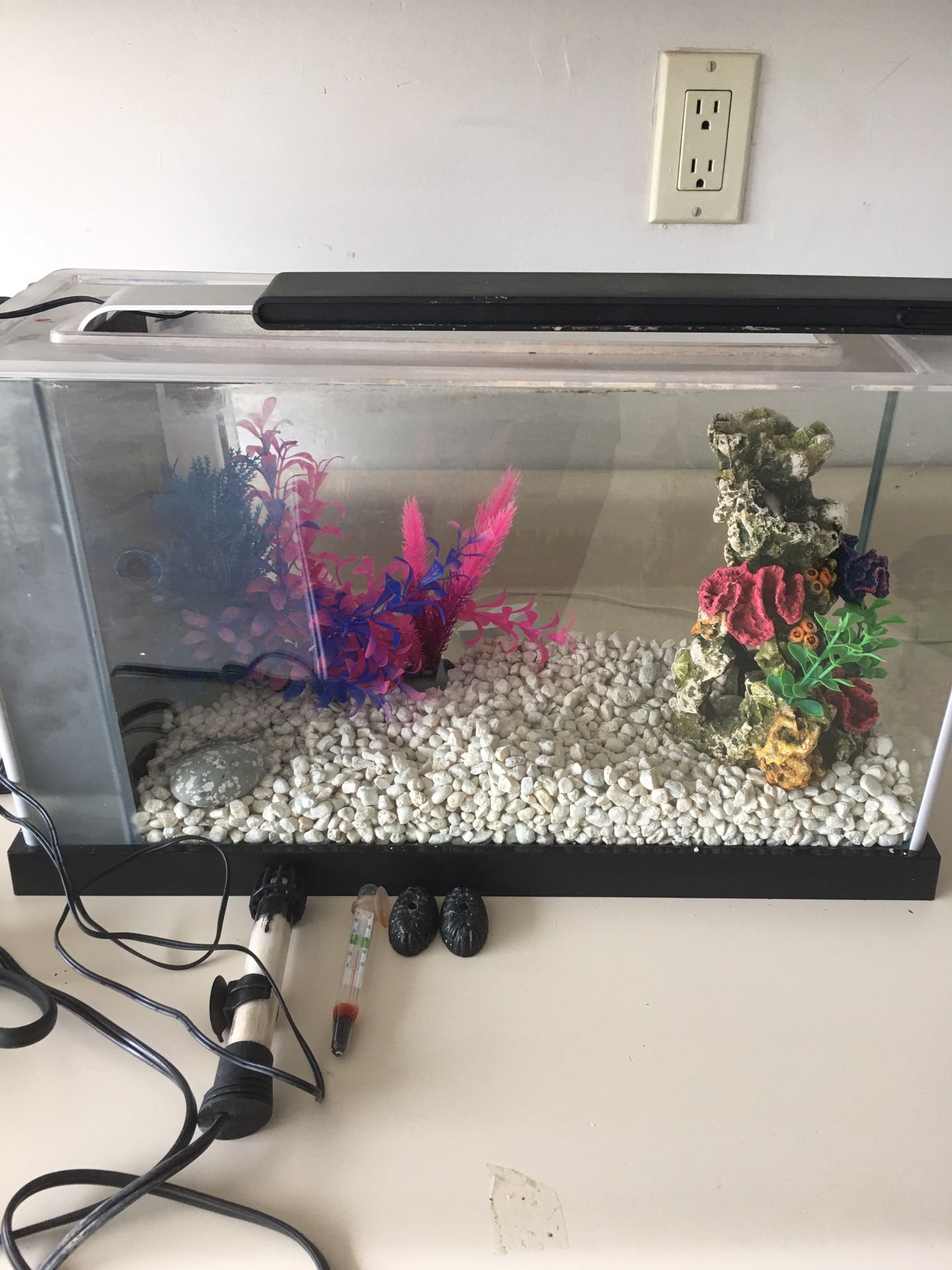 10 gallon fish tank with all accessories