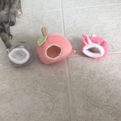 Rodent Small Beds