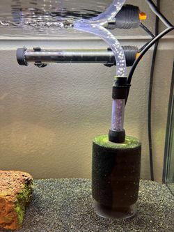 FREE 20 gallon aquarium and accessories