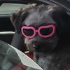 Lola