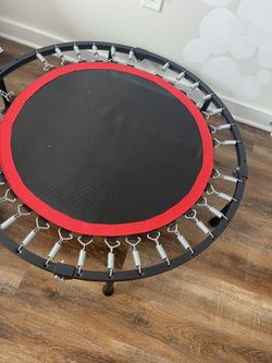 Trampoline- EVERYTHING MUST GO -move Aug 1st