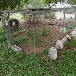 Kennel  Need Gone.