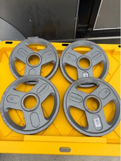 Weider 4 x 10 lb Standard Cast Iron Weight Plates – 40 lbs Total