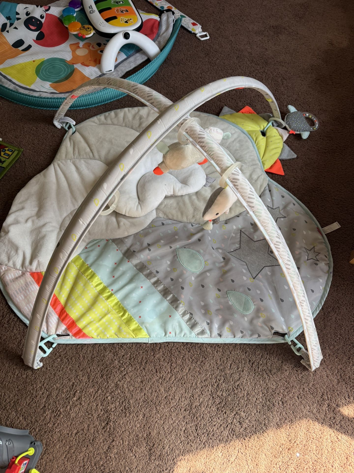 Baby Playmat 