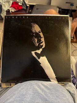 Vintage Vinyl Record Lot – Frank Sinatra LPs